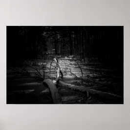 Poster Mystic Night Forest – Moody Nature Landscape