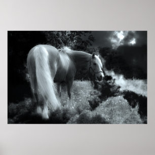 poster mystical night