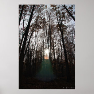 Póster Mystical Spirit of the Forest Print #015