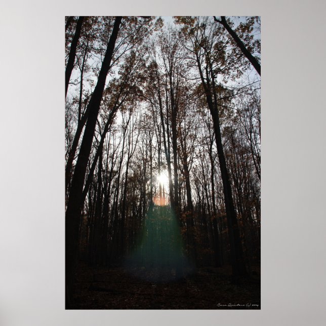Póster Mystical Spirit of the Forest Print #015 (Frente)