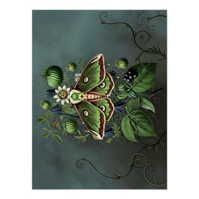 Póster Mystical Woodland Moth (Frente)