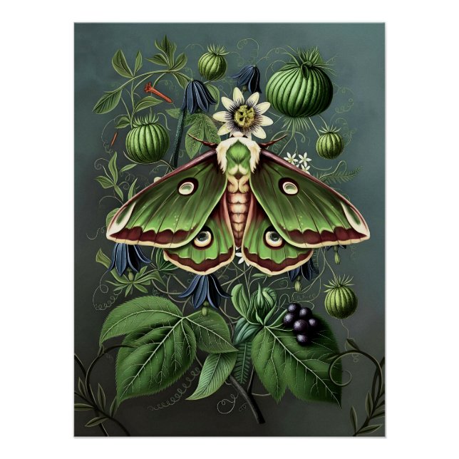 Póster Mystical Woodland Moth (Frente)