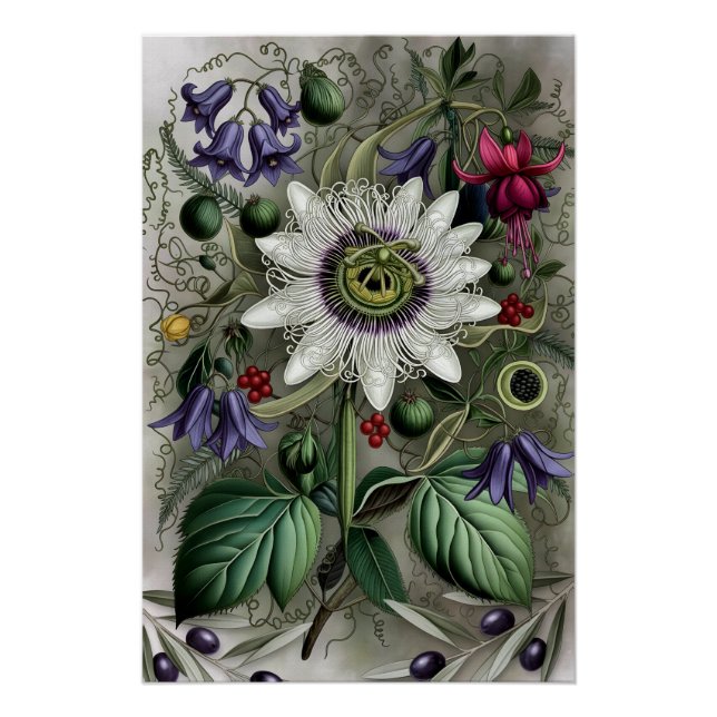 Póster Mystical Woodland Moth (Frente)
