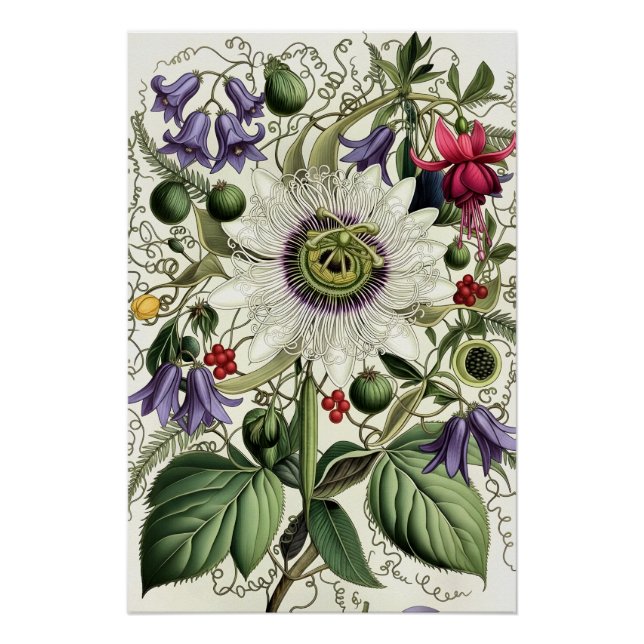 Póster Mystical Woodland Moth (Frente)