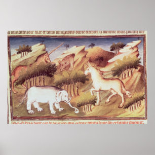 Poster Mythical animals in the wilderness