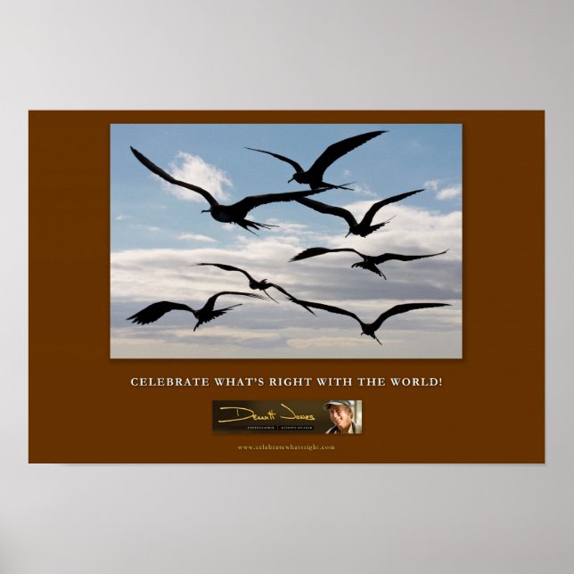 Poster nº 5 (Frente)