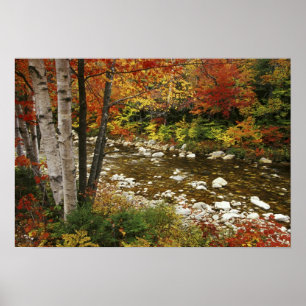 Póster N.A., EUA, New Hampshire, White Mountain,