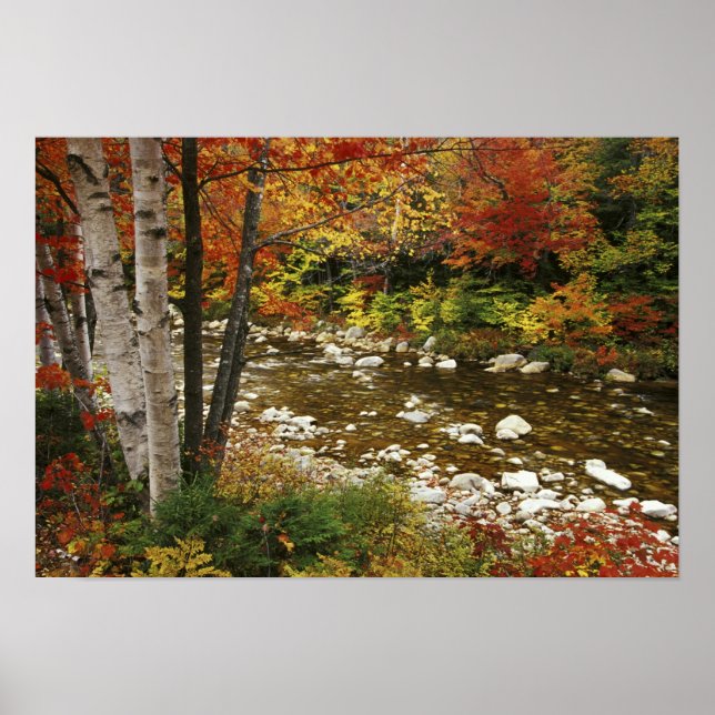 Póster N.A., EUA, New Hampshire, White Mountain, (Frente)