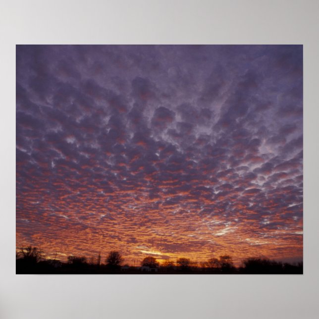 Póster N.A., EUA, Novo México, perto de Las Cruces, (Frente)