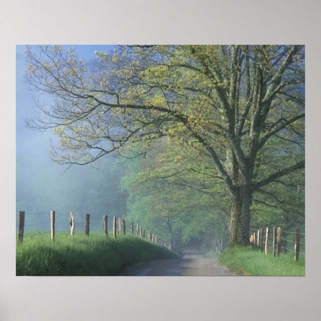 Poster N.A., EUA, Tennessee, Parque Nacional Smokey Mts., (Frente)