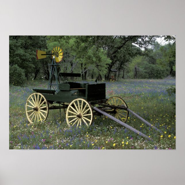 Póster N.A., EUA, Texas, Devine, Velha carroça e (Frente)