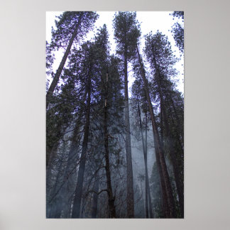 Poster Na Base do Half Dome - Yosemite