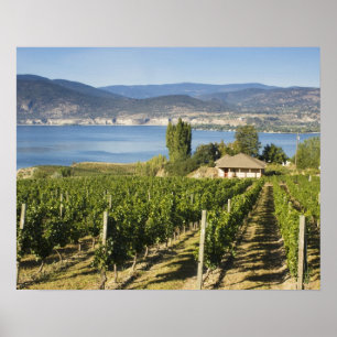 Póster NA; Canadá; Colúmbia Britânica; Vale de Okanagan;