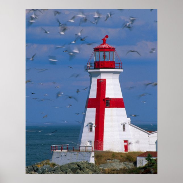 Póster NA, Canadá, New Brunswick, Ilha Campobello. 8 (Frente)