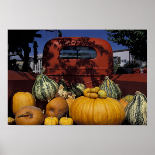 Poster NA, EUA, Novo México, Taos. O Chile fica em pé.