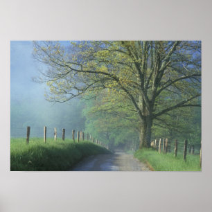 Poster NA, EUA, Tennessee, Cades Cove, Great Smoky
