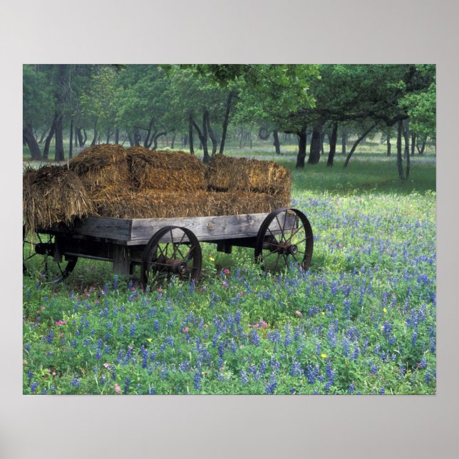 Poster NA, EUA, Texas, a leste de Devine, Velha carroça e (Frente)