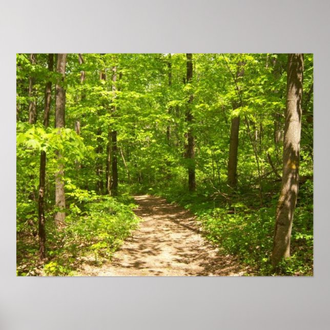 Poster Na floresta (Frente)