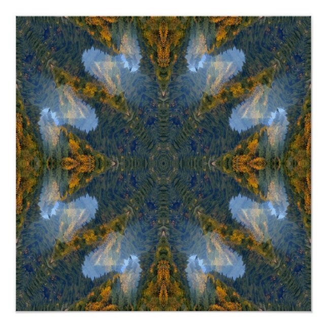 Póster Na floresta... (Frente)