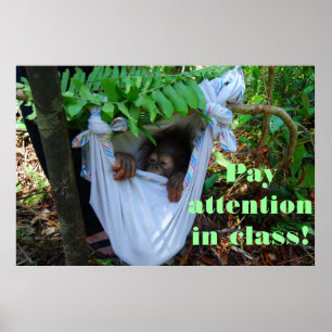 Póster Na Floresta da Escola Orangutan