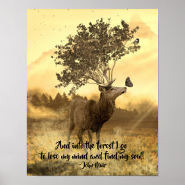 Poster Na Floresta Eu Vou, John Muir Nature Cote