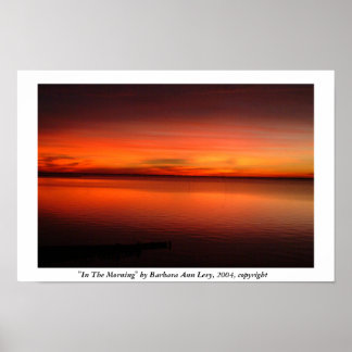 Poster Na manhã de Barbara Levy, 2004, copyright