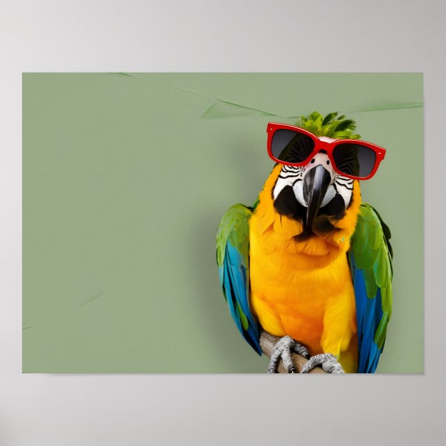 Poster Na moda de papagaio em óculos escuros (Frente)