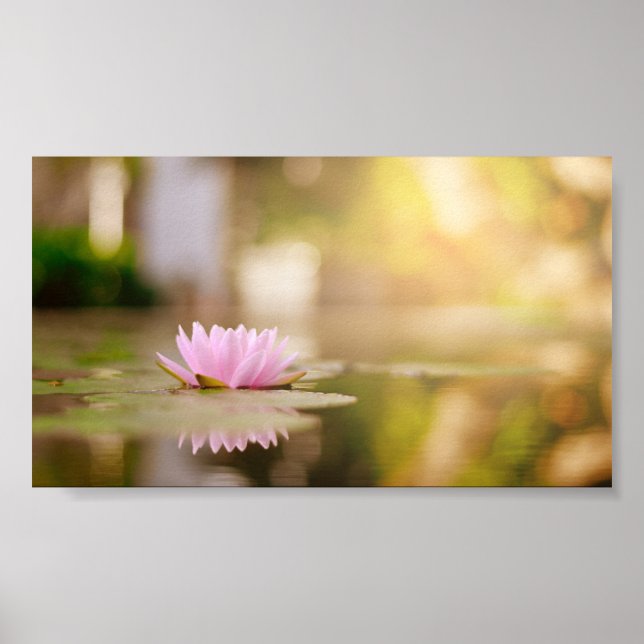 Poster Na moda Lotus Flower Landscape, Zen (Frente)