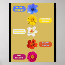 Na natureza de mudar as coisas. POR SORRISO