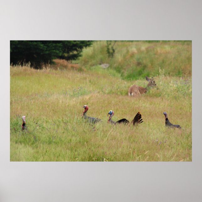 Póster "Na Patrulha" (Frente)