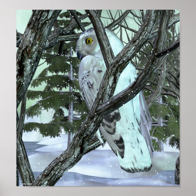 Póster Na Selvagem Snowy Owl (Frente)