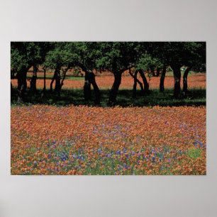 Póster NA, Texas, Texas Hill Country, Buchan Dam,