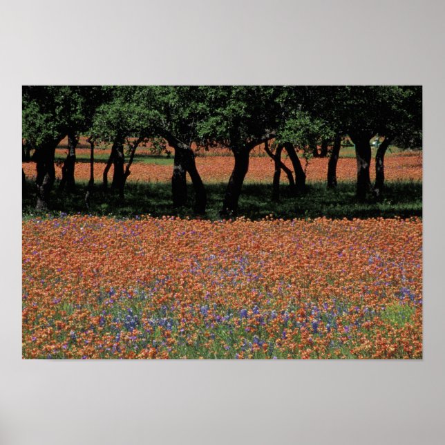 Póster NA, Texas, Texas Hill Country, Buchan Dam, (Frente)