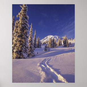Póster NA, USA, Washington, Mt. Rainier NP, Snowshoe