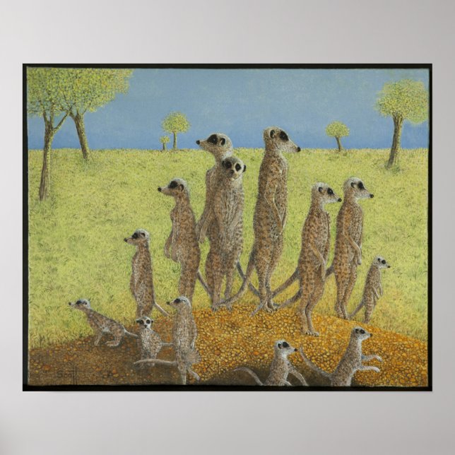 Poster Na vigia (Frente)