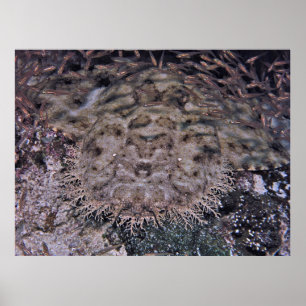 Poster Na Visão Simples