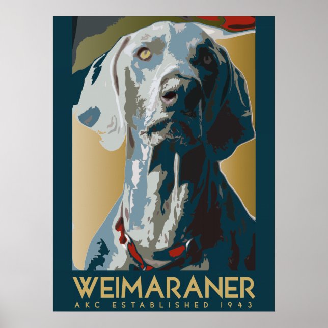 Póster Nação Weimaraner : AKC Weimaraner (Frente)