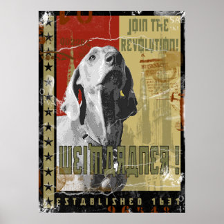 Poster Nação Weimaraner: Vintage Weimaraner