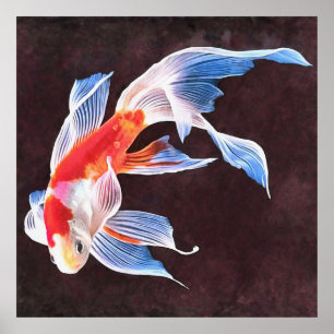 Poster Nadação de arte realista de peixe Goldfish