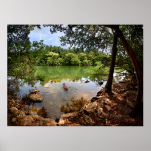 Póster Nadação de Cães Lago Ladybird 2 - Austin Texas