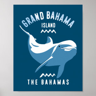 Poster Nadar com Golfinhos - Grande Bahama