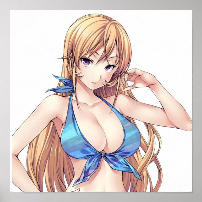 Poster Nakiri Erina (Frente)