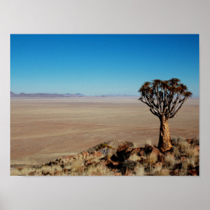 Poster Namíbia Tirool Namib Paisagem do Deserto Kokerboom