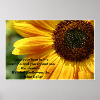 Póster Nancys_girassol