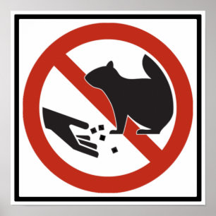 Póster Não Alimente o Sinal de Estrada dos Esquilos