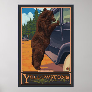 Póster Não alimente os ursos - Parque Nacional Yellowston