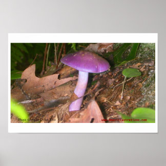 Póster Não Coma o Cogumelo