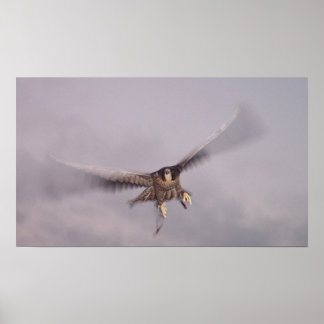 Poster Não consigo parar o trovão...