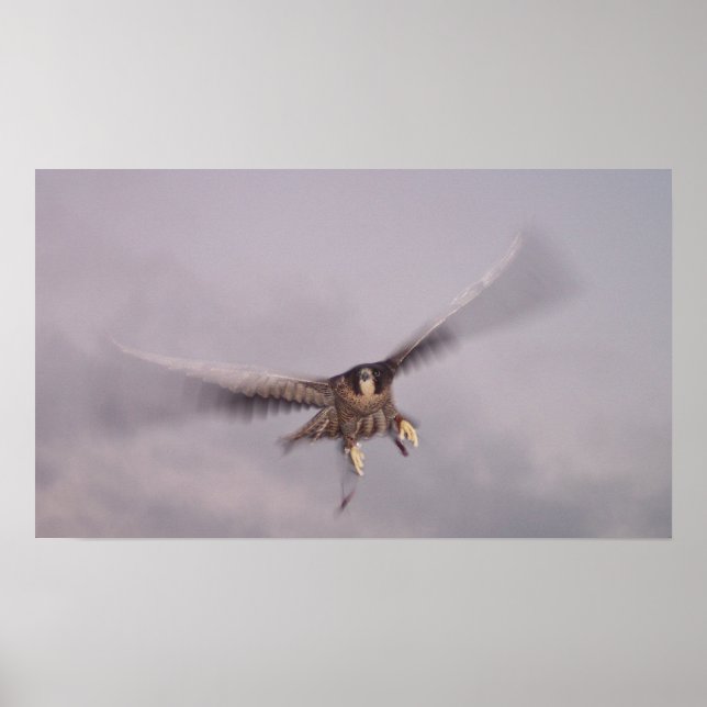 Poster Não consigo parar o trovão... (Frente)