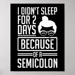 Poster Não dormi 2 dias com programador de ponto e vírgul